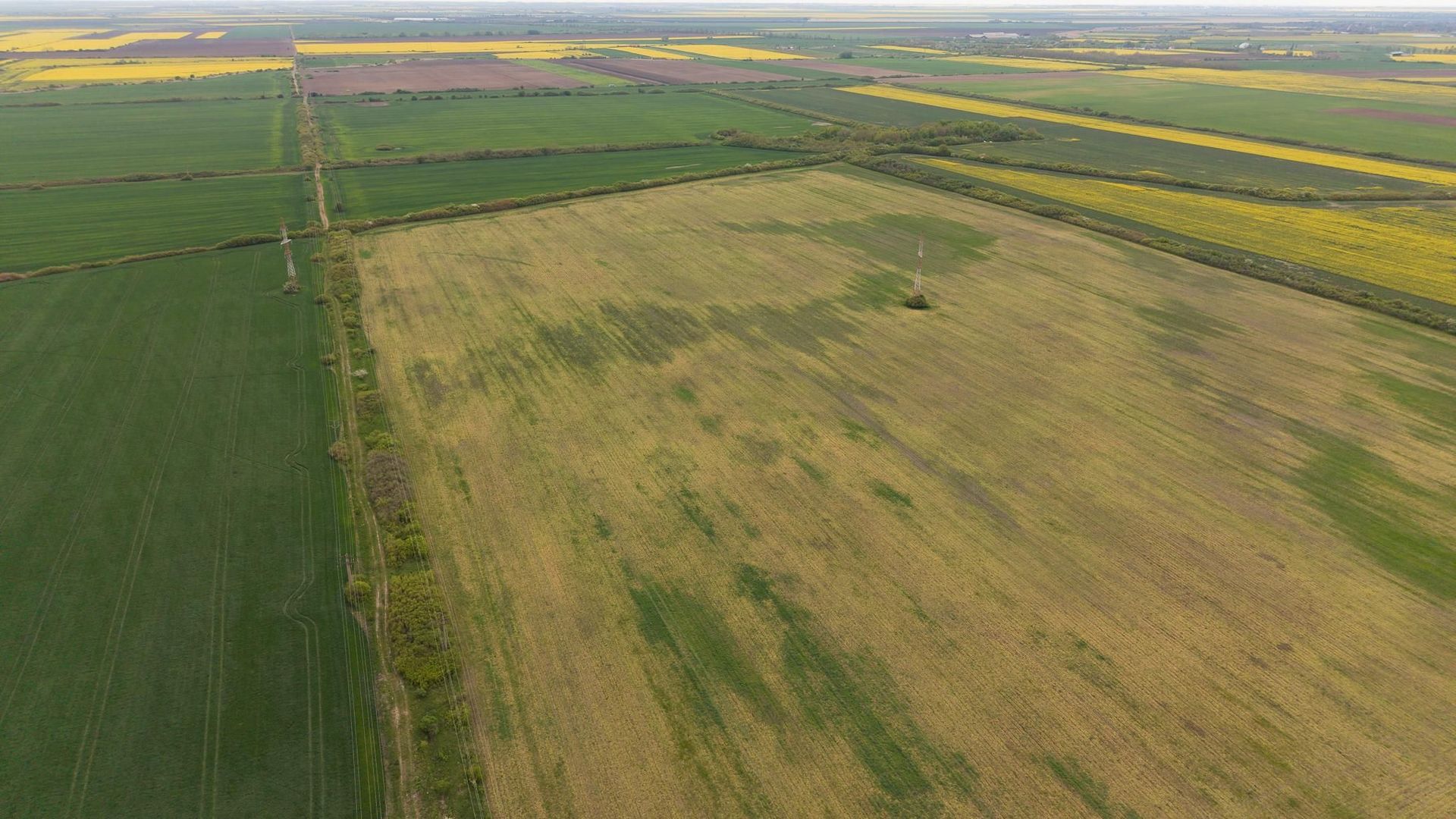 Teren investițional strategic 44.700 mp Arad Vest - Poză 14