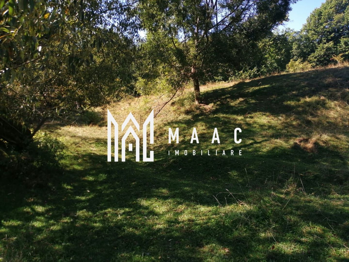 Teren Extravilan 20.000Mp I Stoenești -Vâlcea I Apă Curentă și Pădure - Poză 7