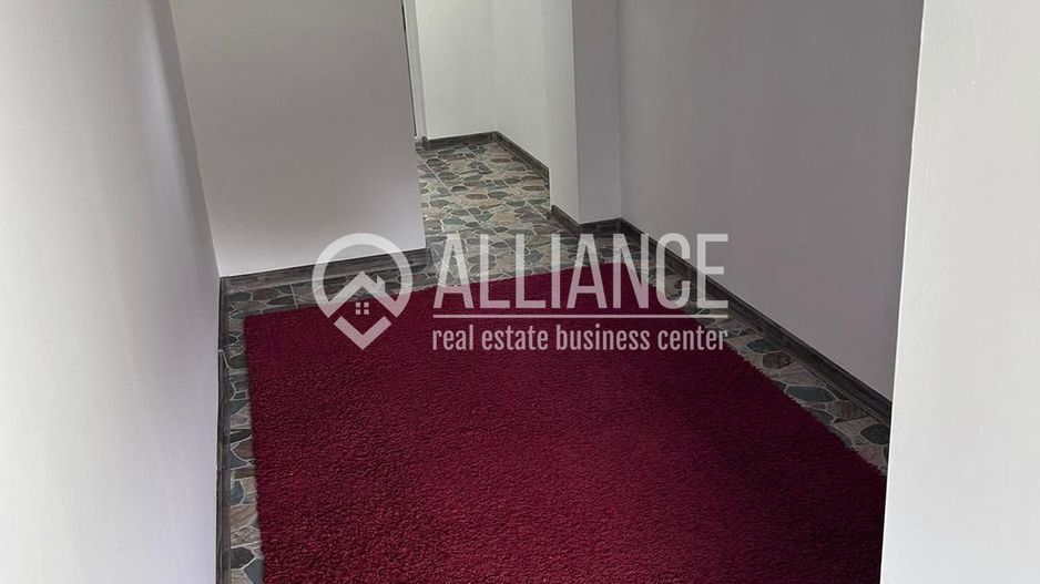 SAT CERCHEZU - Casa renovata complet si gradina - Poză 4