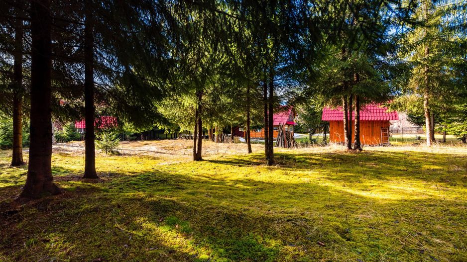 Cabane cu 10 camere Arieseni - Poză 4