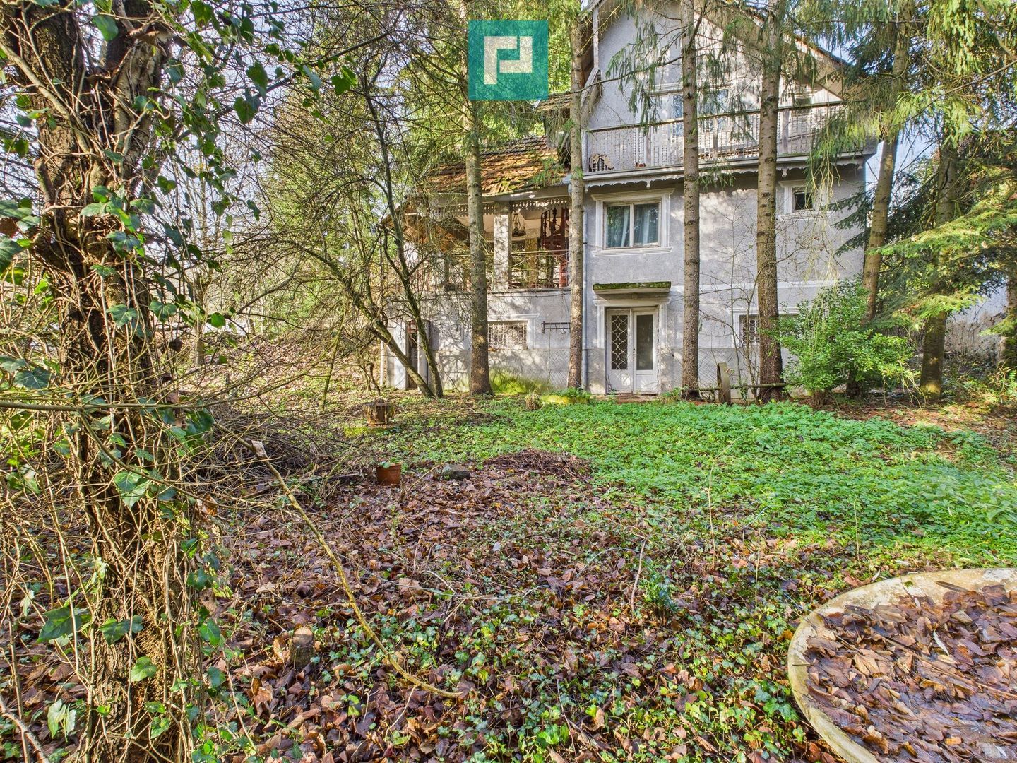 Casă P+E+M cu teren 8163 mp – Roşia Nouă (Petriş) - Poză 3