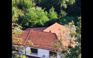 Refugiul la marginea pădurii in Orșova, pe malul Dunării - Poză 2