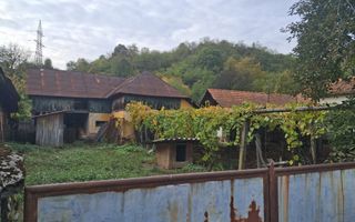 Casă tradițională cu teren generos – Borosteni, Peștișani, jud. Gorj - Poză 10