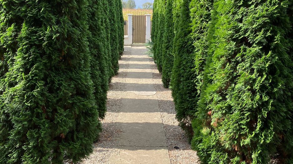 Casa in zona Lunca Marcusului - Poză 2