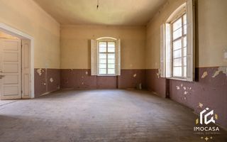 Vila Conac boieresc contelui Fabia 1920 de vânzare Păuliș Arad 2,4 ha - Poză 11