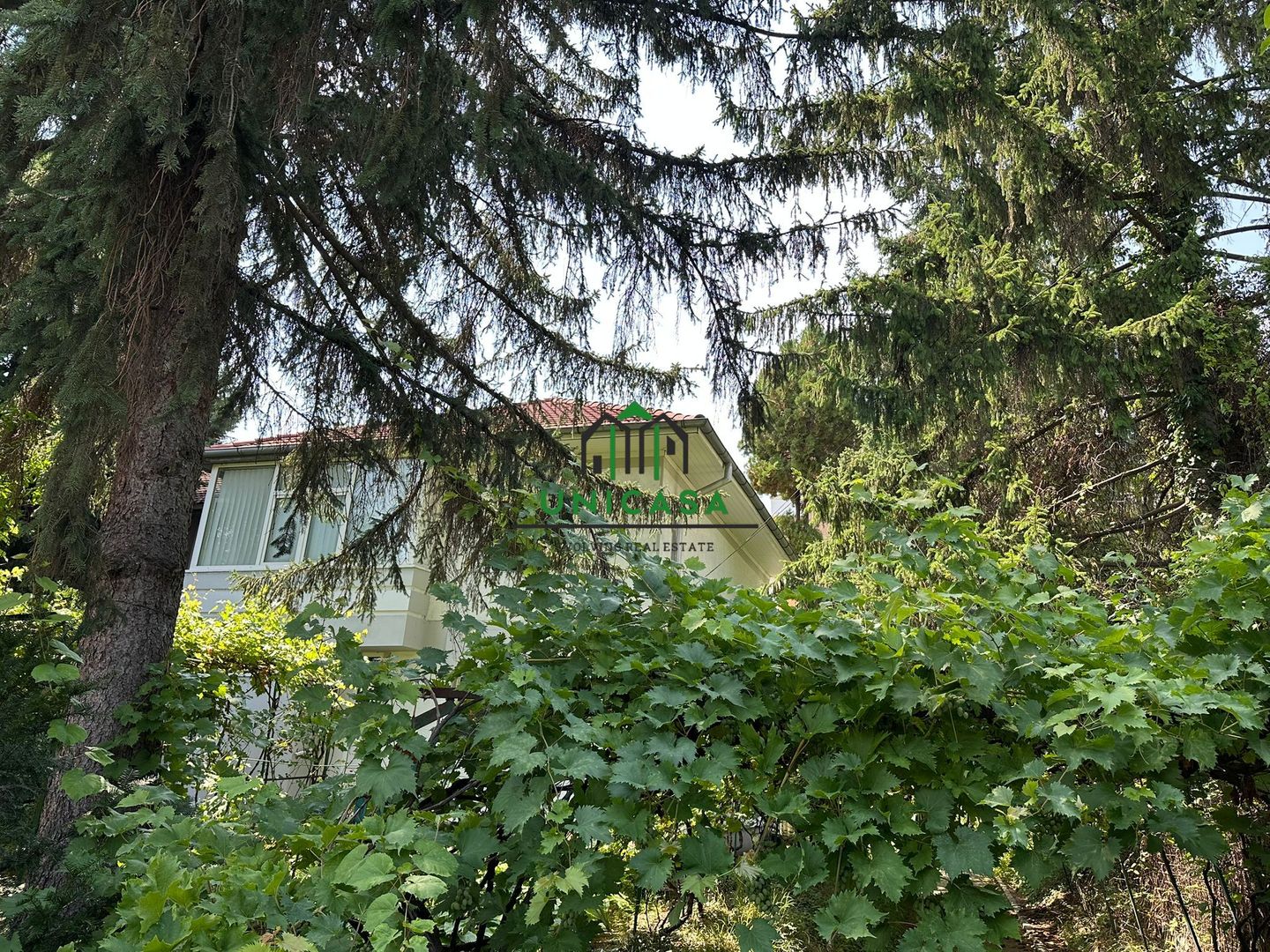 Casa si teren  - Zona Ultracentrala - Poză 3