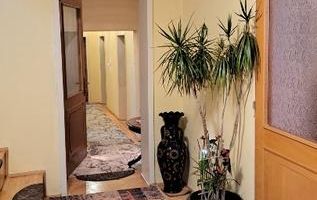 Casă individuala 279 mp utili anexe și teren 341 mp zona Trei Stejari - Poză 4