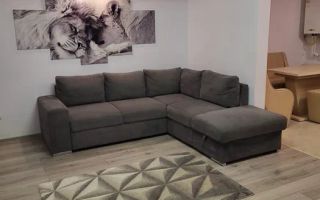 Apartament 2 camere 50mp in Valea Lupului - Poză 2