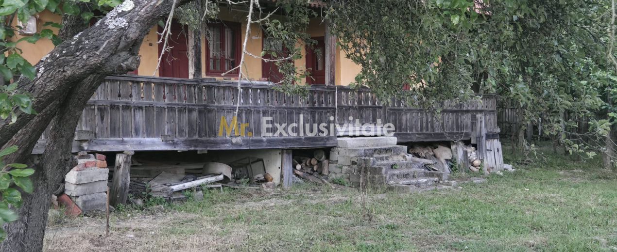 Casă cu 7.769 mp teren și pădure | Budieni | 53.000€ - Poză 5
