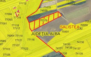 Teren agricol de vanzare, Salistea - Schiță 4