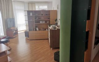 Apartament mare, luminos și spațios cu o grădină de vis în Grigorescu - Poză 2