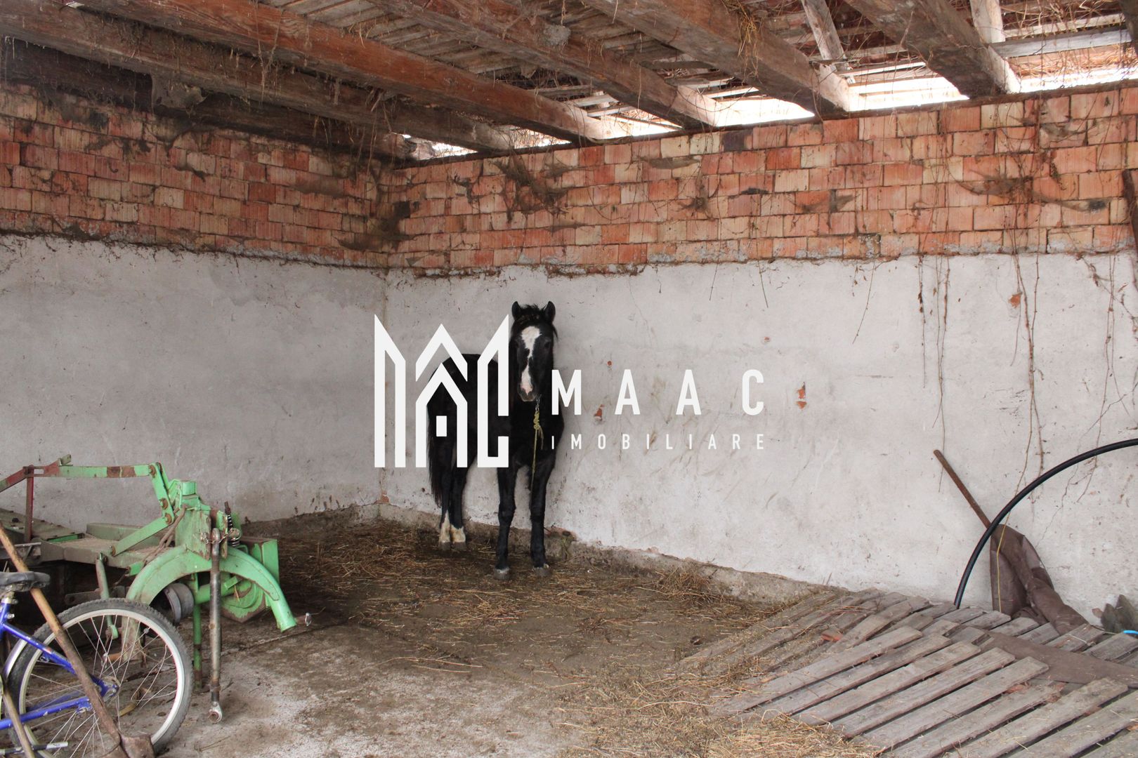 Ferma de Vânzare – Oportunitate Unică! - Poză 9