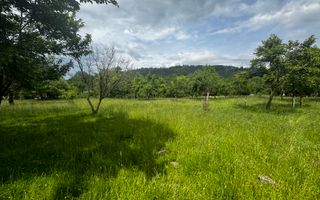TEREN INTRAVILAN 4600 MP, VOINESTI, LERESTI, ARGEȘ - Poză 15
