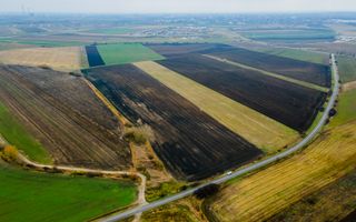 Teren Sânpaul lângă șosea - Poză 6