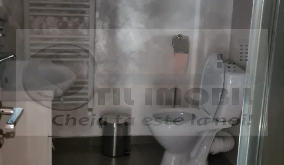 Casa de inchiriat 4 camere Valea Adanca- 699 EURO - Poză 15