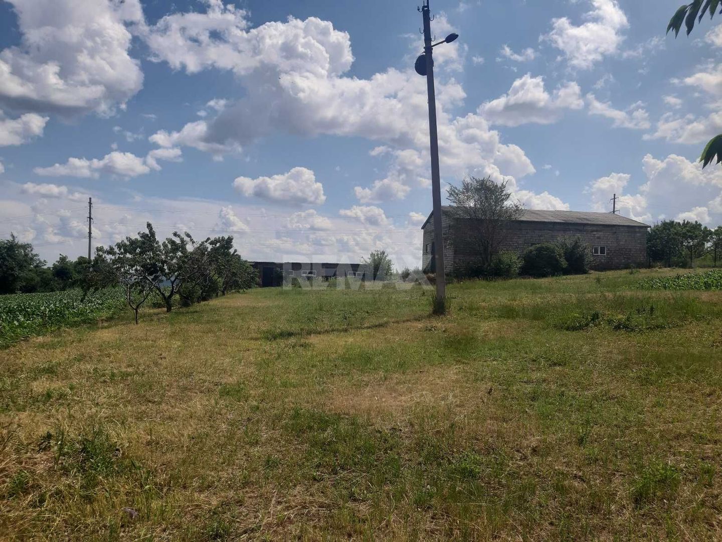 Teren cu spații industriale sau depozitare - Poză 2