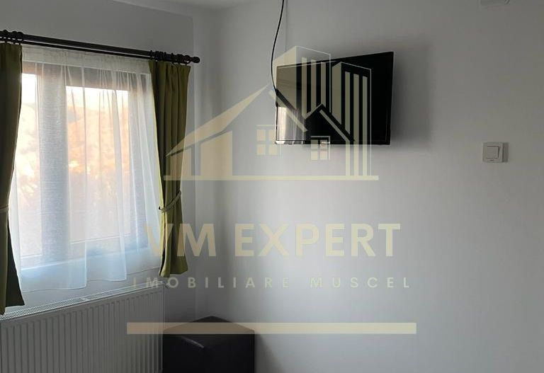 CASA 3 CAMERE, TEREN 3100 MP, ALBESTI DE MUSCEL, ARGES - Poză 5