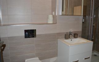 Apartament de închiriat | Platinia Mall | UMF | USAMV - Poză 9