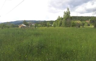 TEREN INTRAVILAN, 1700 MP, VOINESTI - LERESTI, PRET 17000 EURO