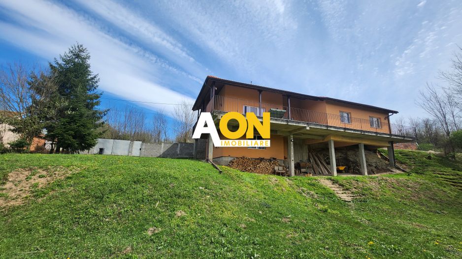 De vanzare casa 6 camere 8142 mp teren in Oarda de Sus - Poză 35