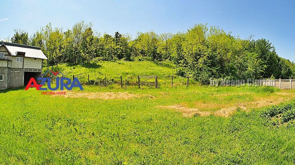 Vanzare vila Albota - Mares - Poză 10