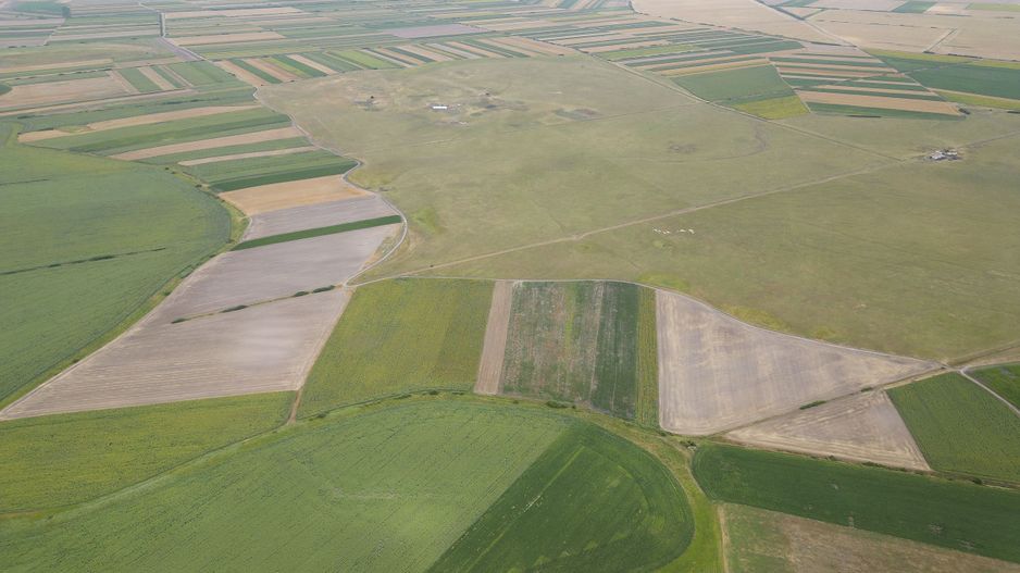 Teren arabil de 40 hectare în Zarand - Poză 2