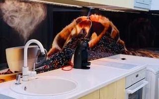 Propietar, Inchiriez GARS LUX COSTIN GEORGIAN, Titan - Poză 4