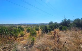 Teren intravilan 14.168 mp – pozitie excelenta la intrarea in Braila - Poză 5