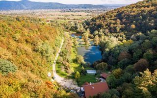 Domeniu în satul Căprioara - Poză 4