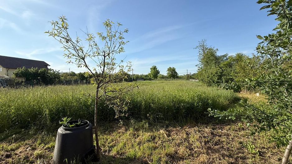 Teren de 3360 mp în exclusivitate, Sânmihaiu Român, vedere la Bega - Poză 1