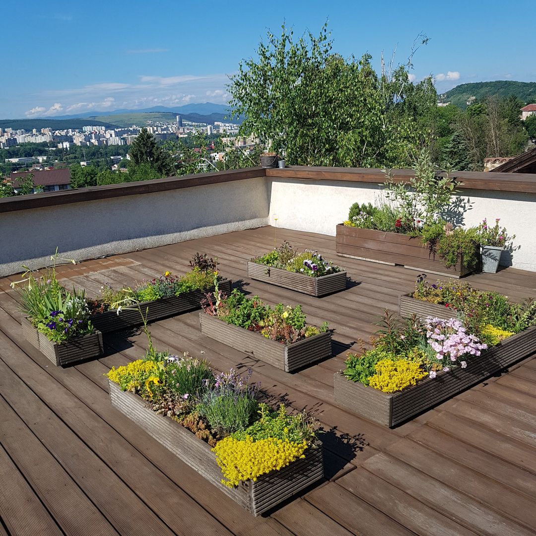 De inchiriat! Casă deosebita in Gruia, panorama spectaculoasa! - Poză 2