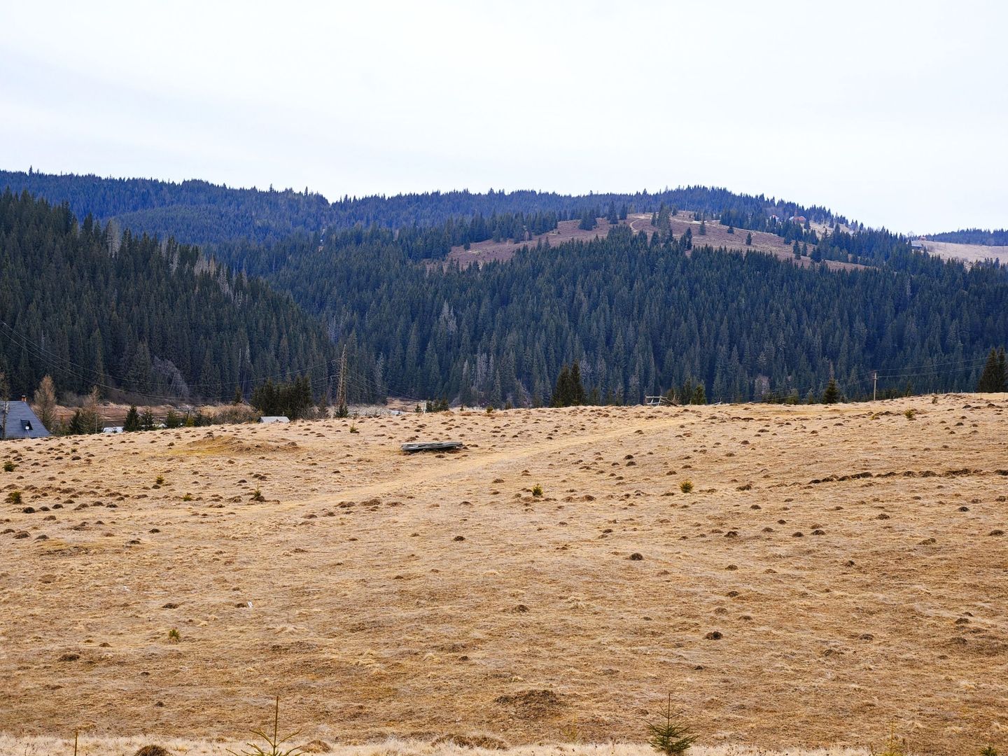 6636 mp TEREN in Statiunea Turistica Montana BELIS – FANTANELE, CLUJ - Poză 5