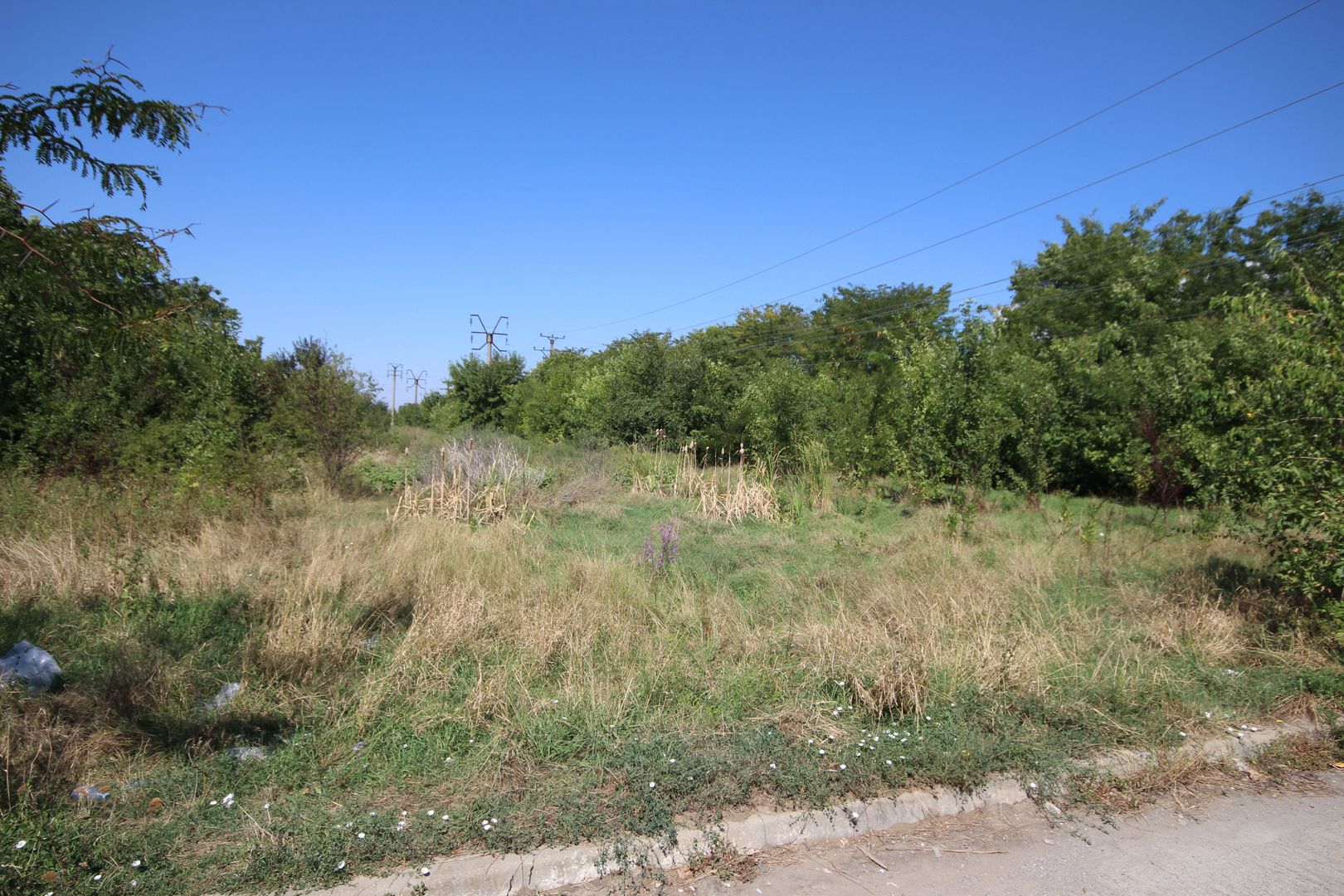 Teren industrial , servicii depozitare -zona Calea Sagului - Poză 5