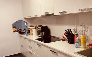 Vila deosebita Kamsas-Baba Novac (COD 08) - Poză 9