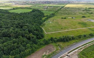 TERENURI PADUREA BISTRA - Poză 3