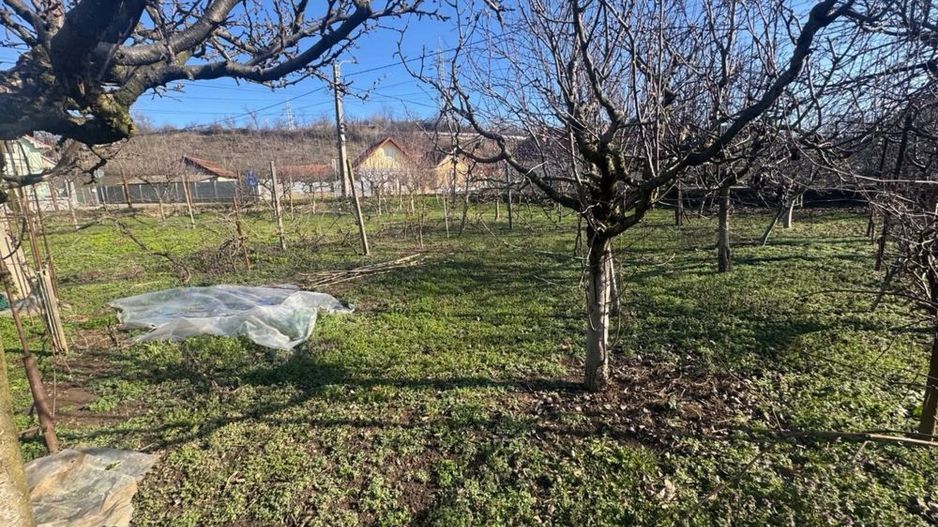 Teren intravilan de vanzare in Barabant - Poză 1