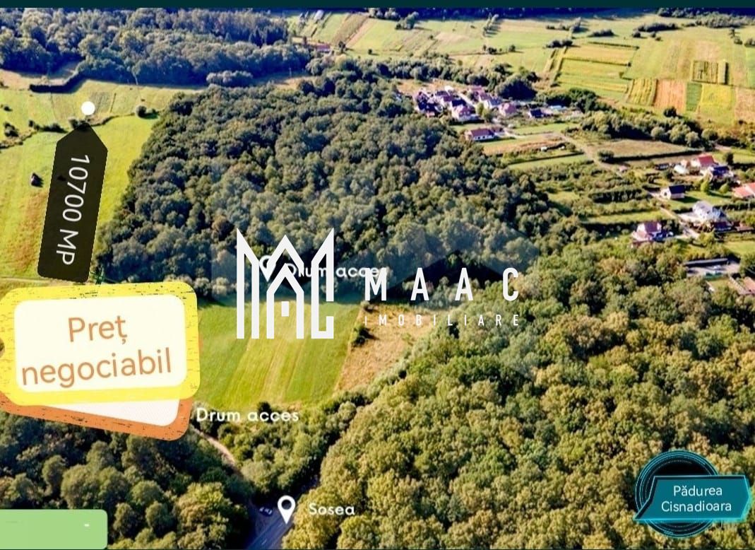 Teren extravilan I Parcelare I Rasinari - Poză 3