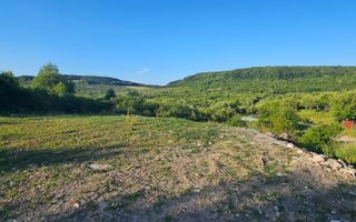 Teren extravilan 1300 mp - Poză 6