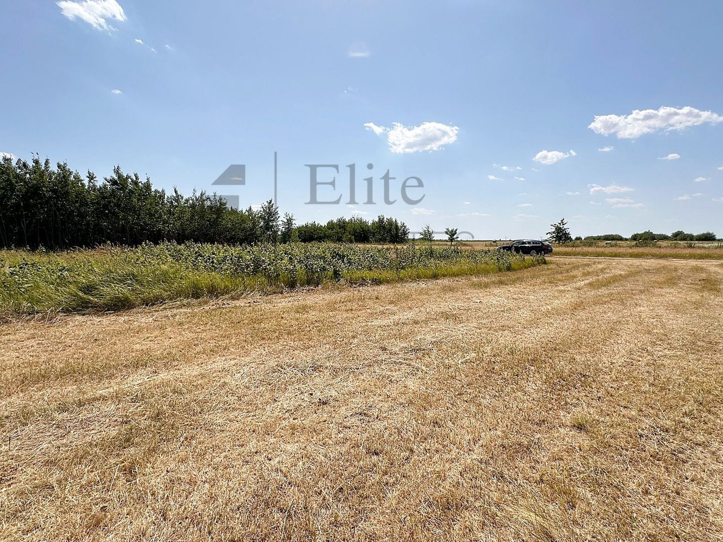 Teren intravilan 1114 mp Sanmartin - Poză 2