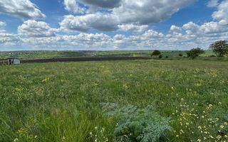 Vânzare, teren , 10 ari, Cruzești - Poză 4