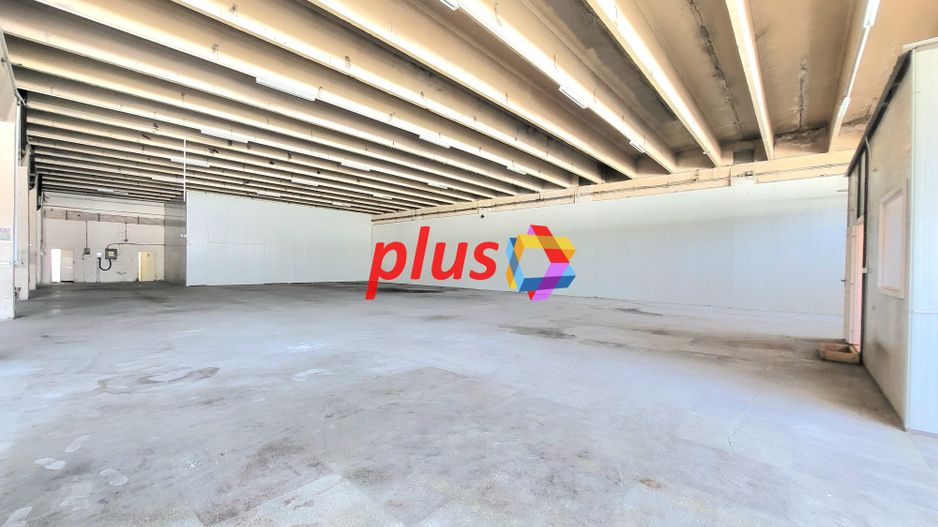 Spatiu industrial - 1229 mp  # plus-imo.ro - Poză 4