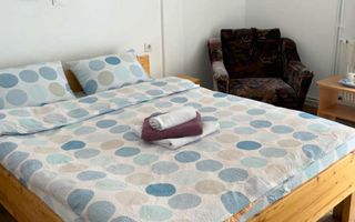 Pensiune I Poalele Munților Făgăraș I Cârțișoara, Sibiu - Poză 1