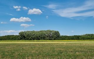 Loturi de teren 638 mp - curent tras la teren - Crevedia - Poză 4