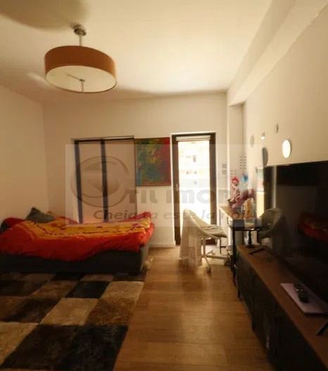 Apartament 1 camera Copou - 399 euro - Poză 3