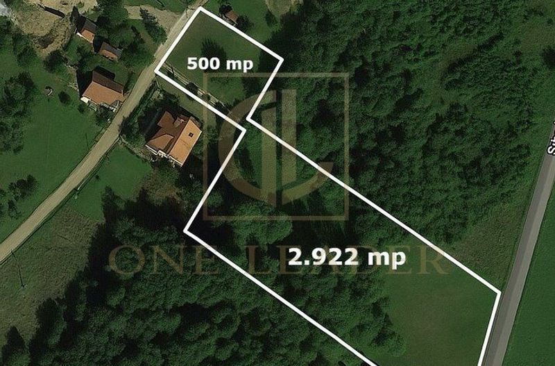 Teren 3349 mp de Vânzare | Bran – Panoramă Munții Bucegi - Poză 1