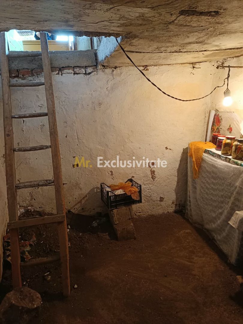 Casă tradițională cu teren de 4.400 mp în Vașad - Poză 20