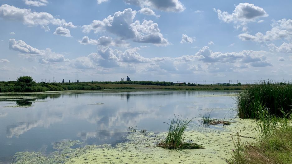 Teren Crevedia 45000 mp - Poză 2