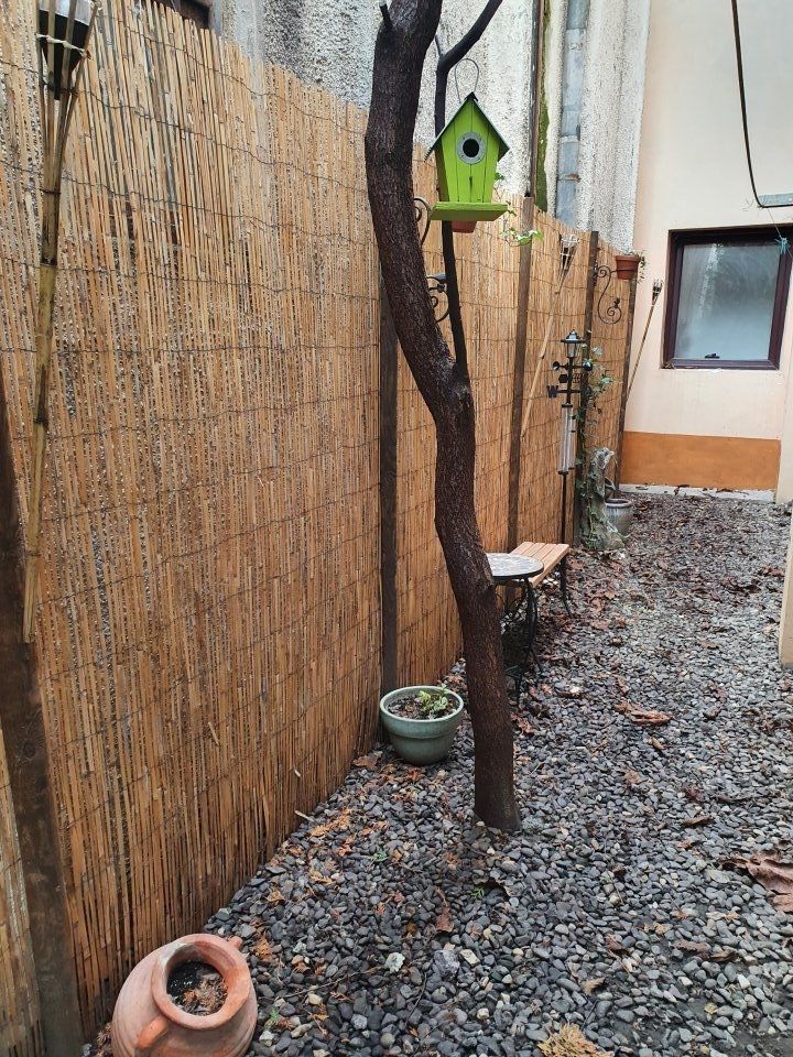 Garsoniera in vila - Poză 3