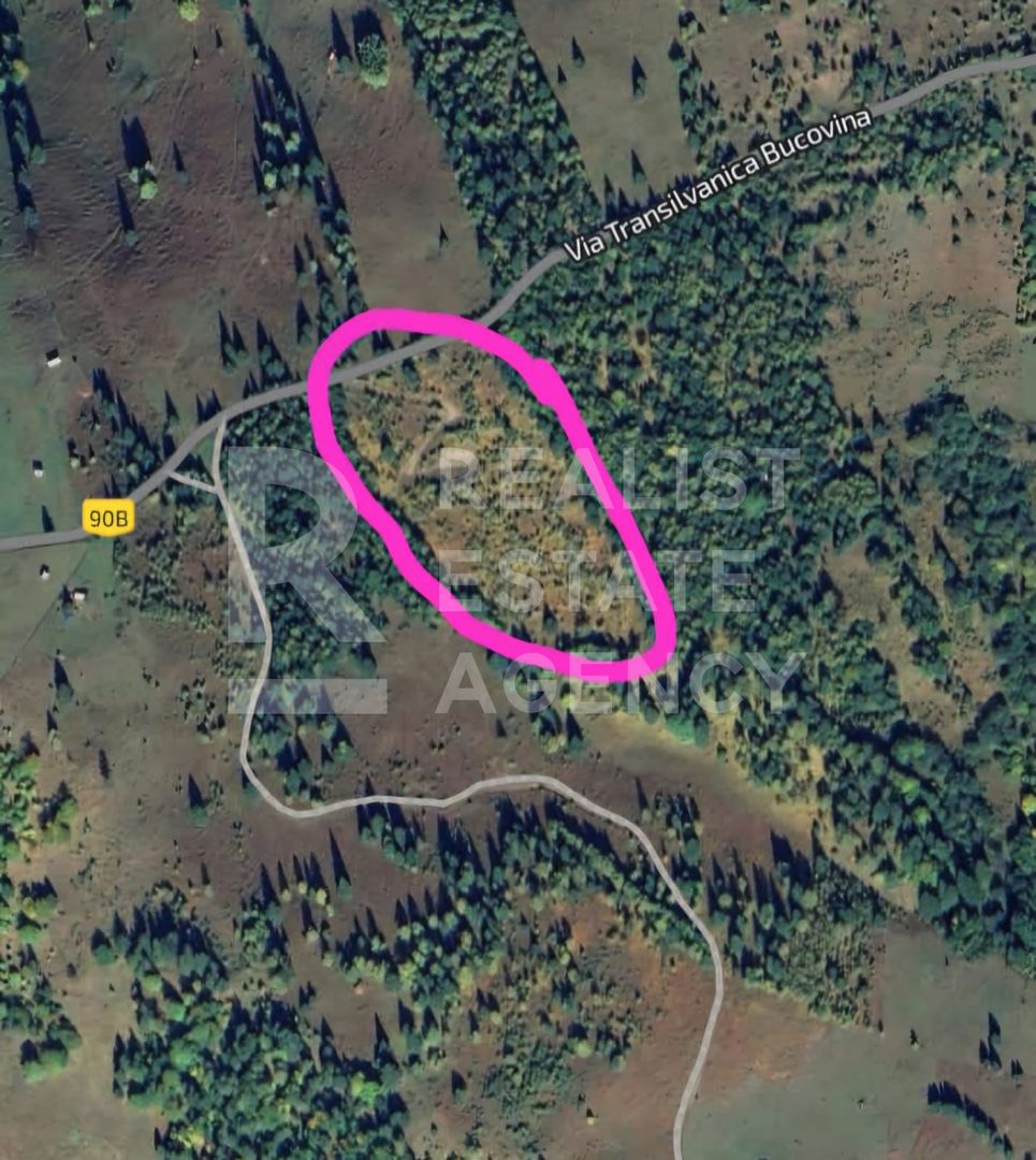 Vânzare, teren, extravilan, Suceava - Poză 4