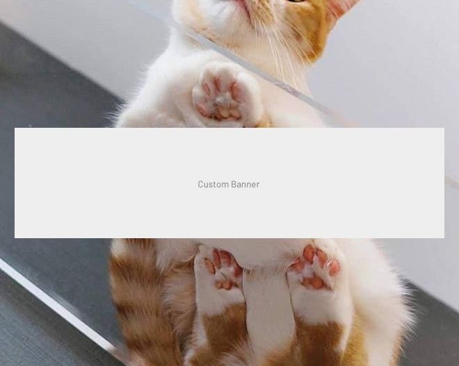 APARTAMENT NOICE CU CHIRIASI LA PACHET - Poză 2